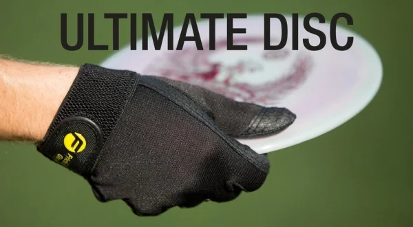 Live: Ultimate Disc