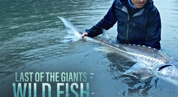 Last of the Giants: Wild Fish