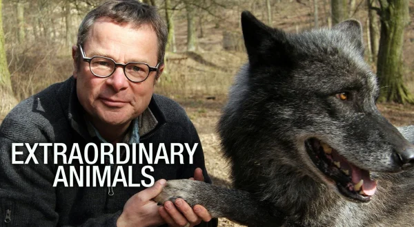 Extraordinary Animals