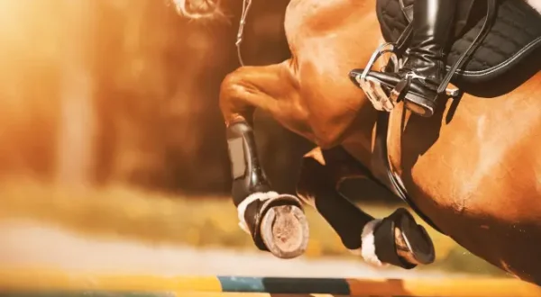 FEI World Cup Equestrian