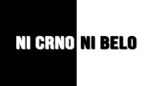 Ni crno ni belo