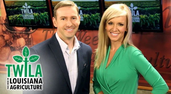 This Week in Louisiana Agriculture