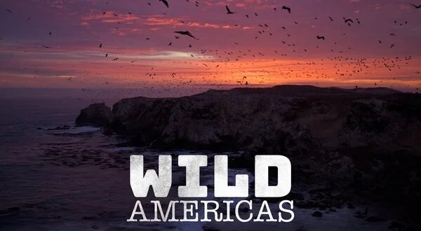 Wild Americas