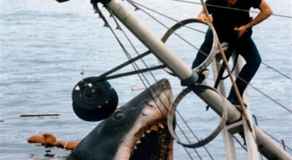 Tiburón