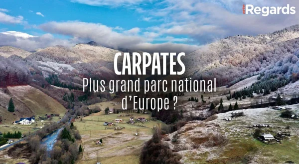 Re: Europas größter Nationalpark in den Karpaten?