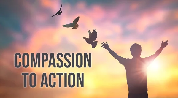 Compassion to Action