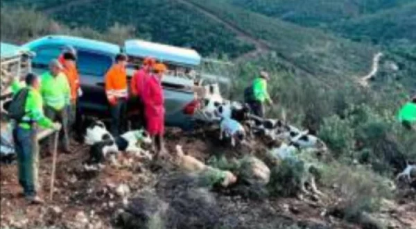 Monteando Los Jabalies de La Nava. 1º Parte