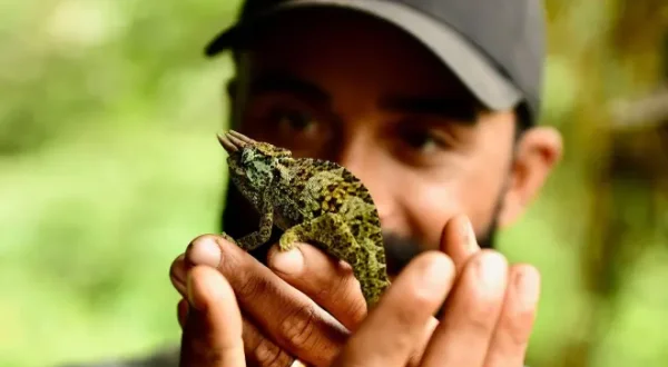 Überlebenskampf der Wildtiere
