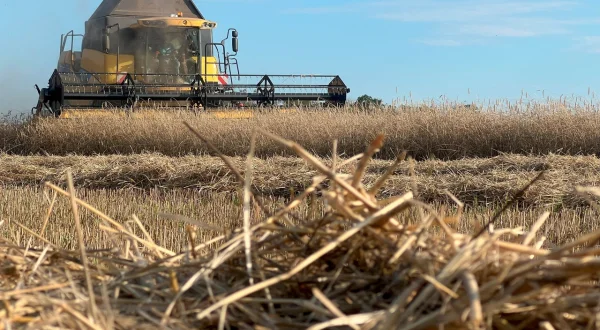 rbb24 Reportage: Trockenes Land