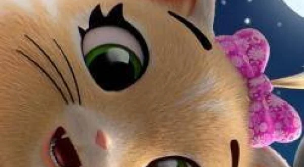 44 Kedi