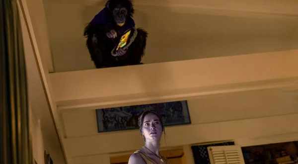 Primate