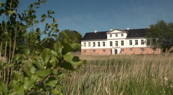 Manden bag det moderne menneske