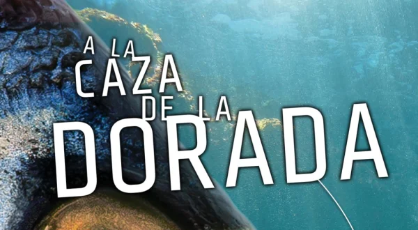 A la caza de la dorada