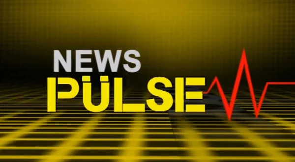 News Pulse