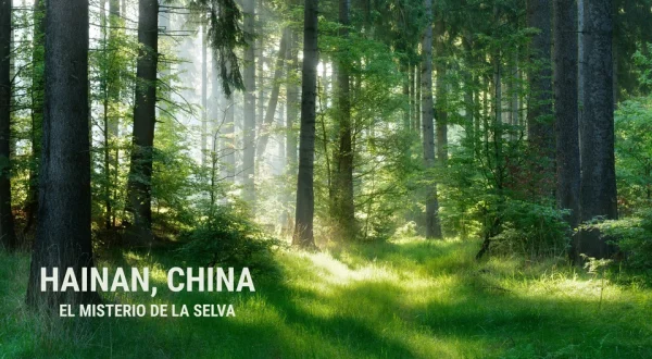 Hainan, China: El misterio de la selva