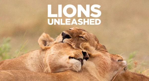 Lions Unleashed