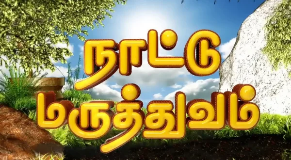 Nattu Maruthuvam