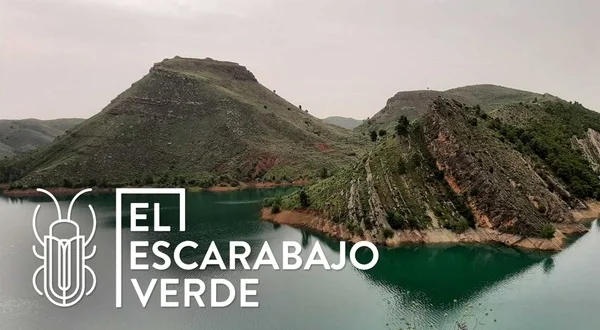 El escarabajo verde