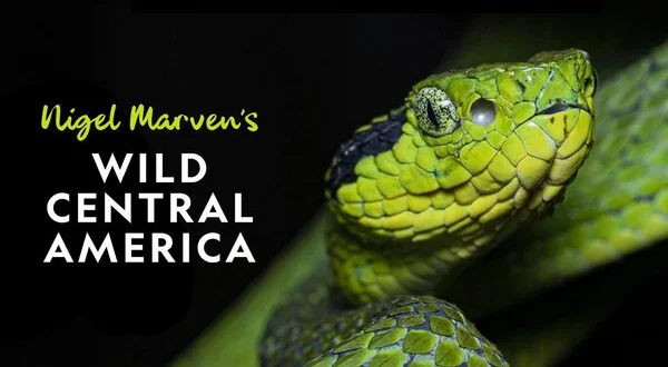 Nigel Marven's Wild Central America