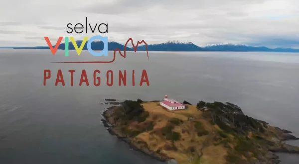 Selva viva: Patagonia