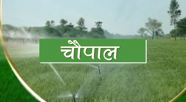 चौपाल