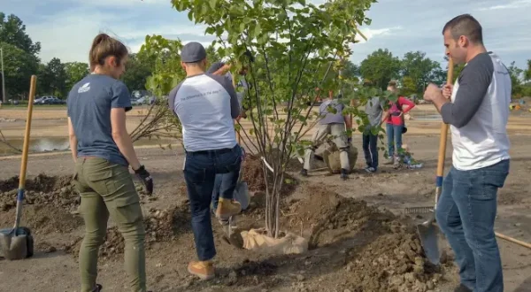 Nature, le retour du sauvage