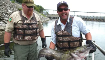 Auf der Suche nach dem Monsterfisch