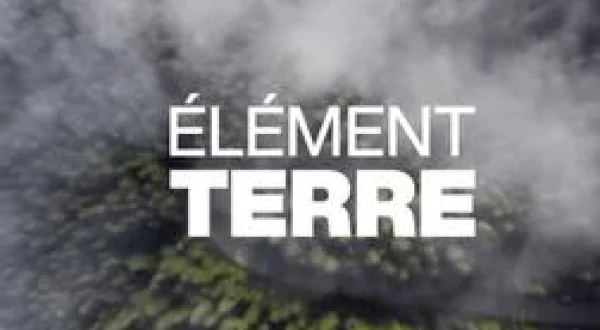 Elément Terre