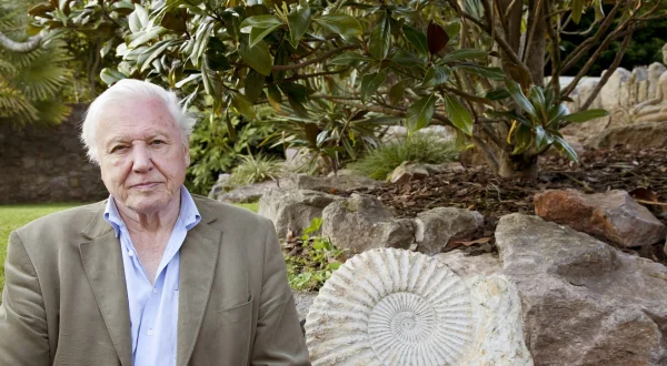 David Attenborough: Čuda prirode