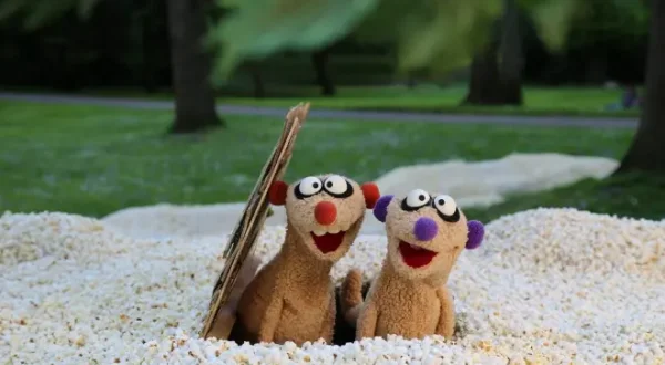 Ein Fall für die Erdmännchen