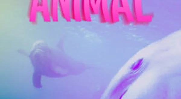 High as an Animal