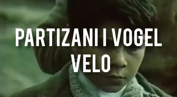 Partizani i vogël Velo