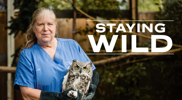 Staying Wild