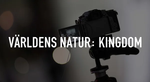 Världens natur: Kingdom