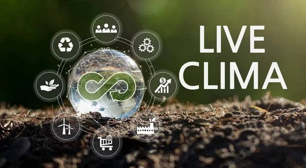 Live Clima Campo