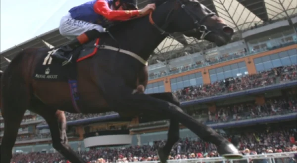 Royal Ascot: Queens of the Turf: Royal Ascot: Queens of the Turf