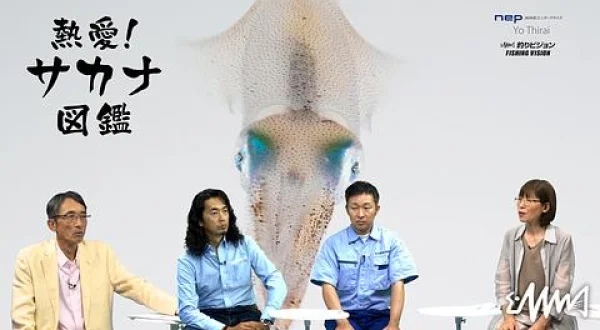 熱愛！サカナ図鑑 4 ～アオリイカ～