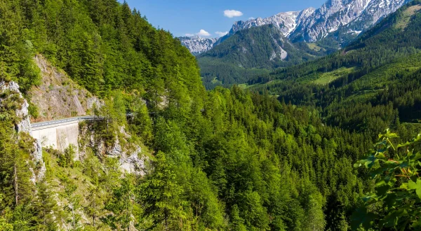 Divlja prostranstva Amerike