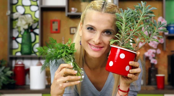 Vege izazov