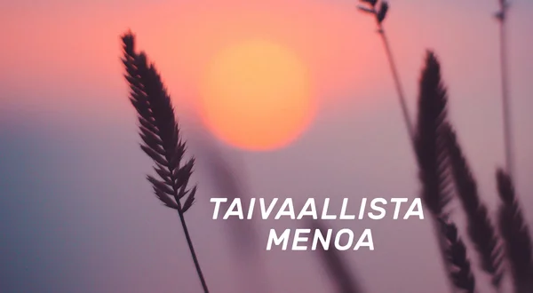 Taivaallista menoa