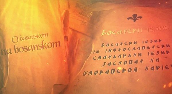 O bosanskom na bosanskom