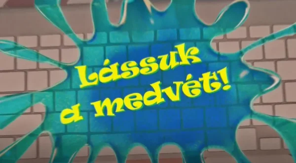 M2 matricák - Lássuk a medvét!