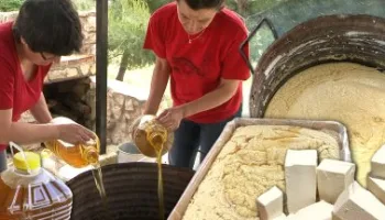 Jabón con aceite quemado de freír. Así se recicla en casa este residuo para hacer jabones con sosa