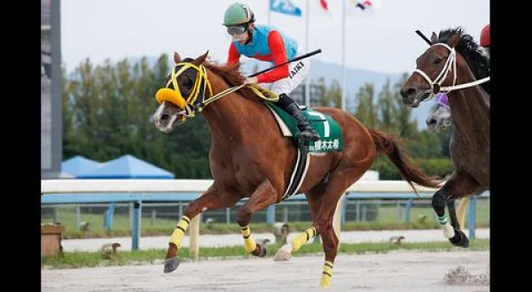ＧＣＨ地方競馬中継（ヤングジョッキーズシリーズトライアルラウンド金沢）