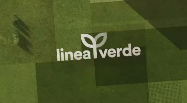 Linea verde