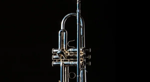 Miles Davis Live at the NSJ Tuinpaviljoen