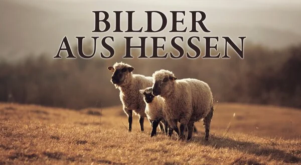 Bilder aus Hessen