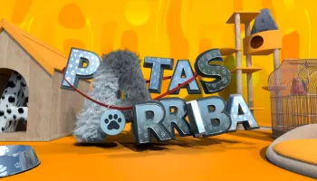 Patas arriba