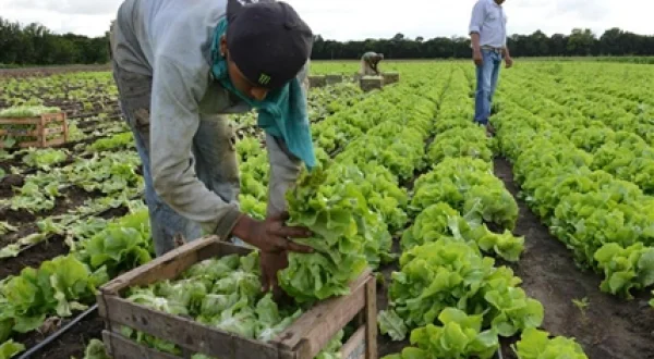 Campo abierto