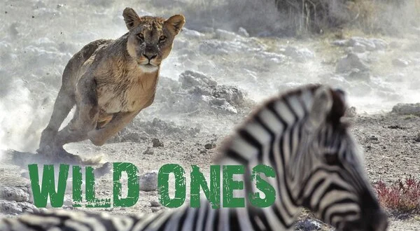 Wild Ones